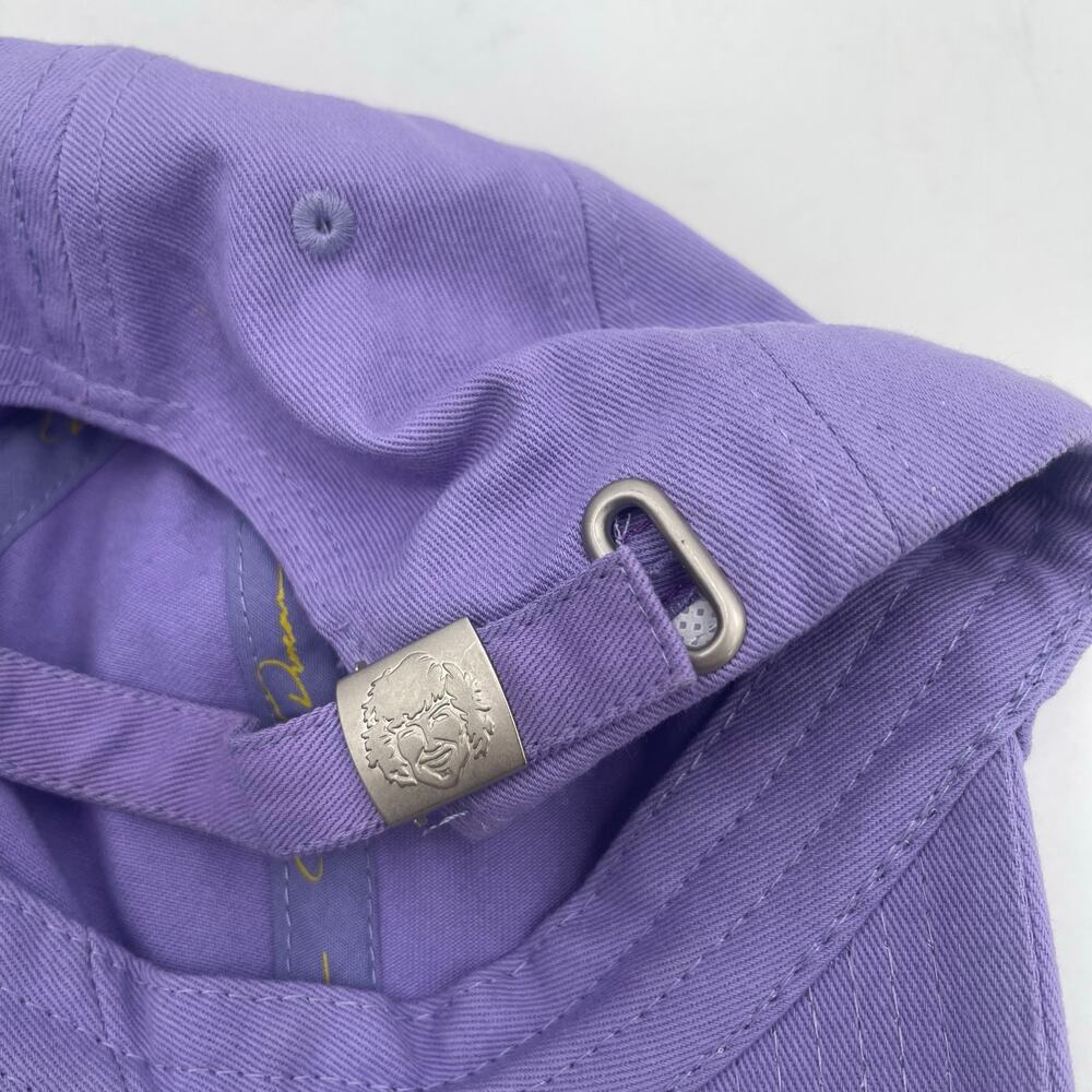 Danny Duncan Virginity Rocks Hat Purple Yellow 100% Cotton One Size Unisex - Picture 7 of 10
